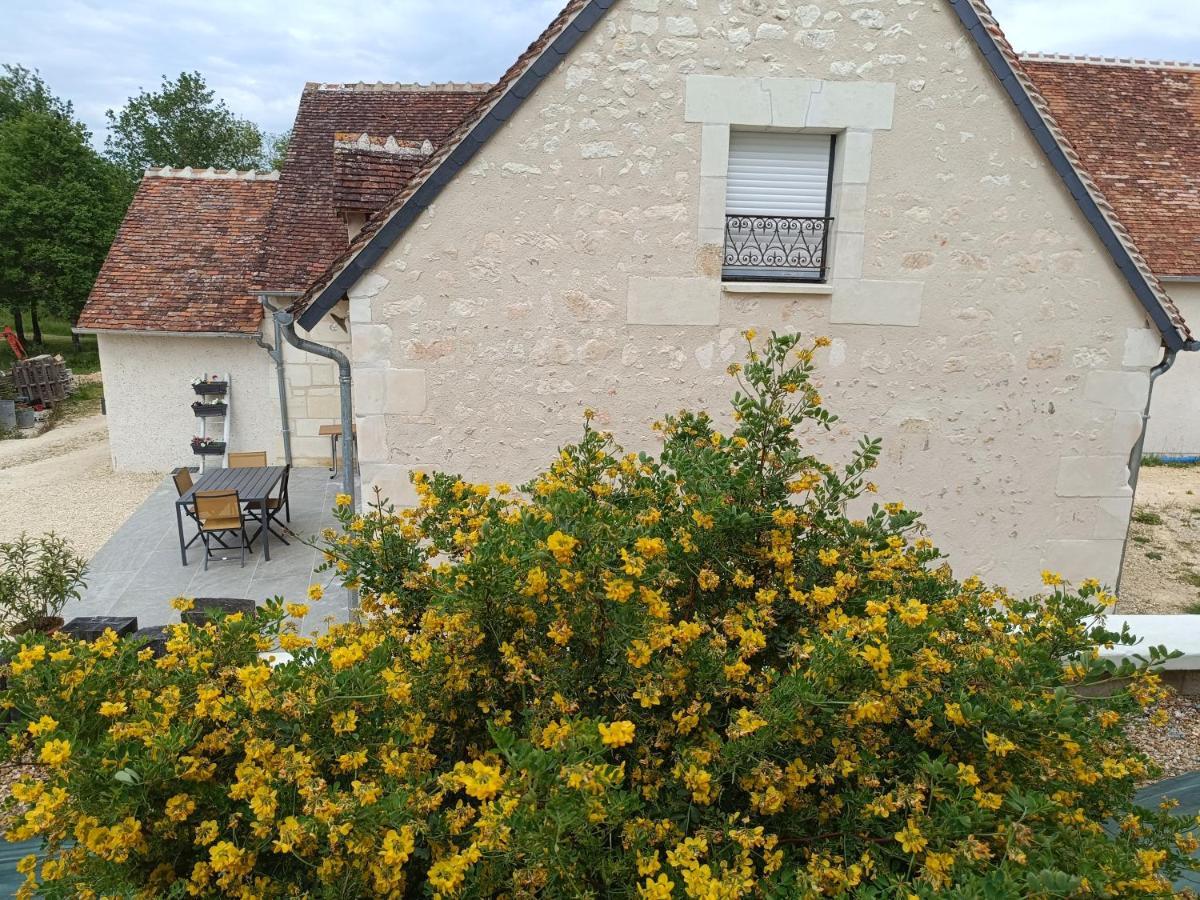 Seigy Gite De La Grand Maison Le Noyer מראה חיצוני תמונה